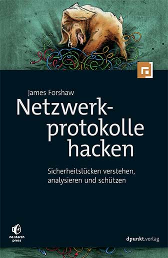 Netzwerk Protokolle Hacken