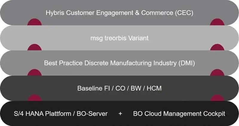 Industry package for the discrete industry S/4 Hana, MSG Treorbis