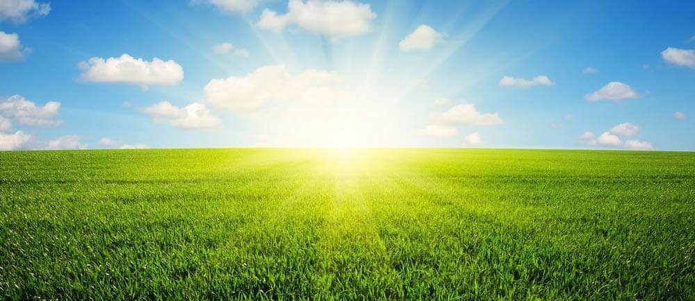 A plea for the greenfield approach
