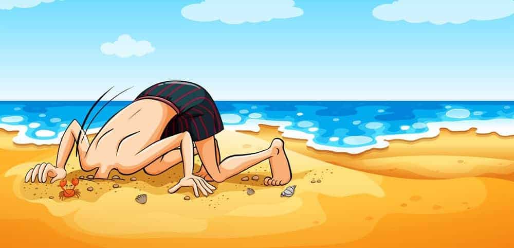 Head in privacy sand