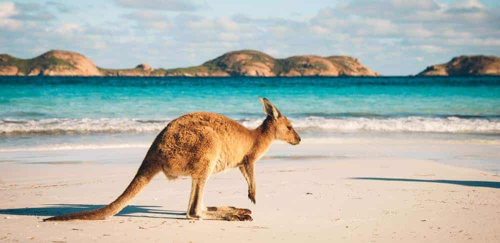 Datavard se va a Australia
