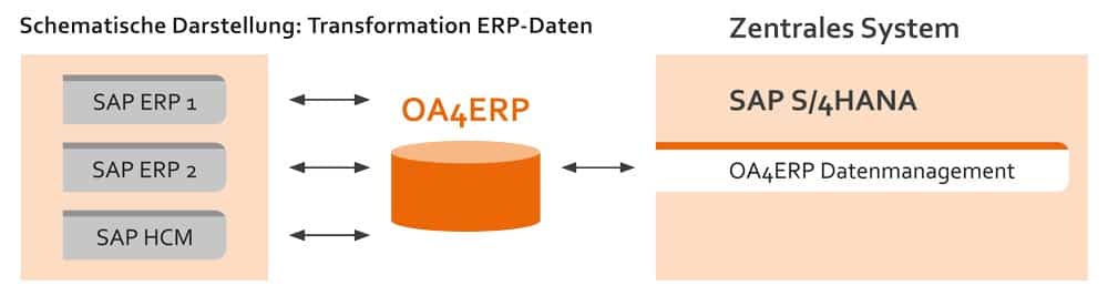 Transformación gráfica Datos ERP