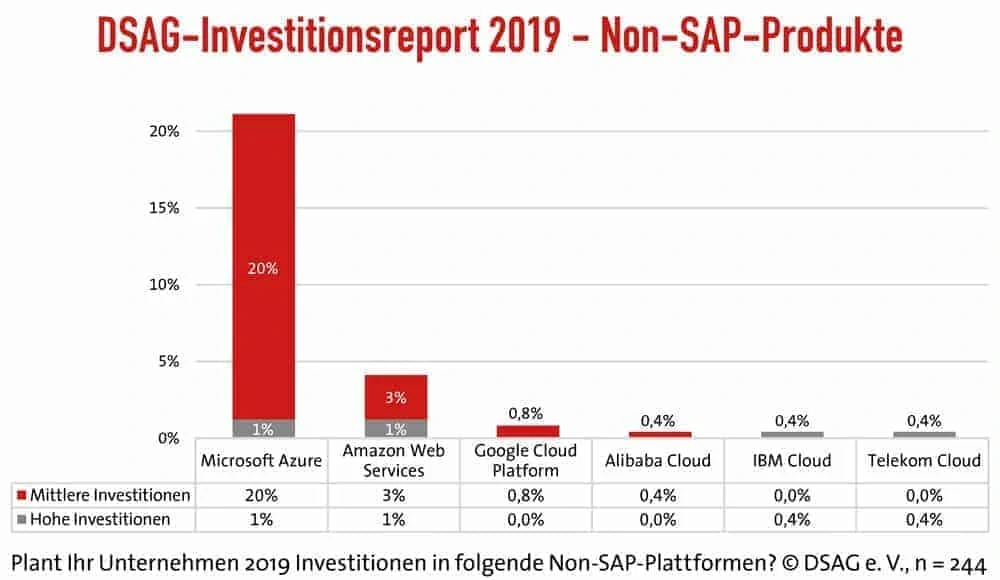 DSAG Investitionsreport